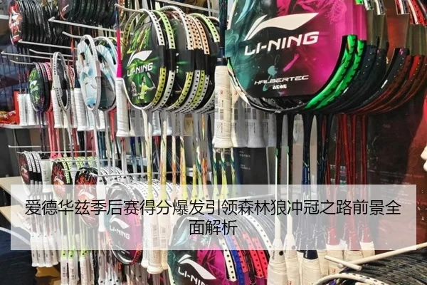 爱德华兹季后赛得分爆发引领森林狼冲冠之路前景全面解析